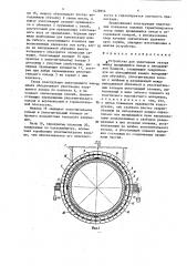 Устройство для уплотнения зазора между вращающейся печью и неподвижной камерой (патент 1428896)