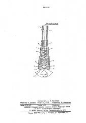Распылительное устройство для нанесения жидкости на изделия (патент 602231)