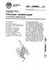 Лапа рыхлителя почвы (патент 1456028)