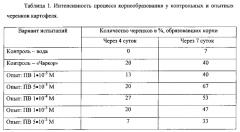 Способ размножения картофеля зелеными черенками, обладающими повышенной жизнеспособностью (патент 2584417)