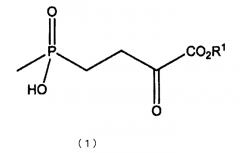 Способ получения n-замещенной 2-амино-4-(гидроксиметилфосфинил)-2-бутеновой кислоты (патент 2571417)