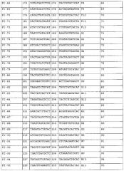 Новый способ пцр-секвенирования и его применение в генотипировании hla (патент 2587606)