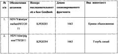 Набор олигонуклеотидов-праймеров для получения первичной структуры f гена вирусов болезни ньюкасла класса i (патент 2590718)