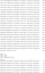 Бактерия escherichia coli - продуцент янтарной кислоты и способ получения янтарной кислоты (патент 2466186)