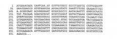 Антигены нейссерий (патент 2347813)
