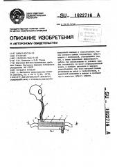 Дыхательный аппарат (патент 1022716)
