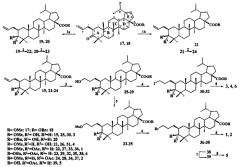 Трифенилфосфониевые соли лупановых и урсановых тритерпеноидов, способ получения и применение для лечения шистосомоза (патент 2576658)
