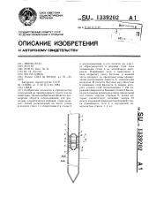 Свая (патент 1339202)