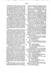 Способ экспрессии цепей химерного антитела (патент 1780541)