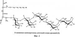 Способ получения водорастворимых фракций маннопротеинов и β-глюкана (патент 2504384)
