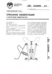 Устройство для осмотра покрышек пневматических шин (патент 1250480)