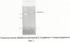 Способ переработки панциря морских ежей (патент 2441661)