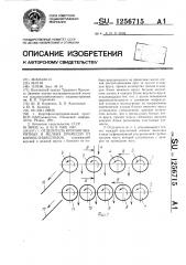 Отделитель крупногабаритных и мелких примесей от корнеклубнеплодов (патент 1256715)