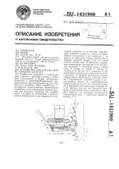 Устройство для заточки пил на пильном агрегате (патент 1431900)