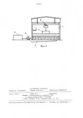Способ обработки семенников трав на стационаре (патент 1340642)