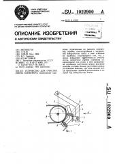 Устройство для очистки ленты конвейера (патент 1022900)