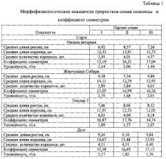 Способ определения урожайных свойств семян пшеницы (патент 2588468)