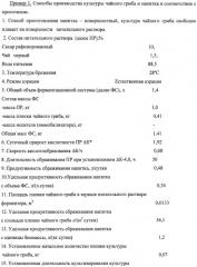 Способ производства культуры "чайного гриба" и способ производства напитка брожения с использованием культуры "чайного гриба" (патент 2480519)