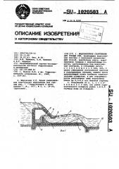 Водозаборное сооружение для горных рек (патент 1020503)