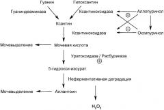 Применение расбуриказы для лечения или профилактики расстройств или косвенных осложнений на сердце, вызванных приступами ишемии или реперфузией (патент 2482187)