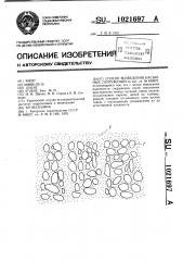 Способ возведения насыпных сооружений (патент 1021697)