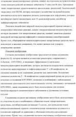 Новые производные тиофена в качестве агонистов рецептора сфингозин-1-фосфата-1 (патент 2404178)