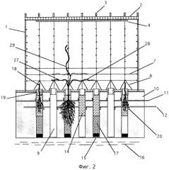 Способ и устройство для выращивания растений (патент 2328107)