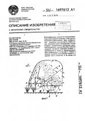 Косилка (патент 1697612)