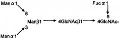 L-фукоза α1→6 специфичный лектин (патент 2524425)