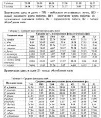 Способ прогноза перспективности сосновых в условиях культуры ex situ (патент 2552955)