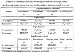 Способ повышения устойчивости растений к абиотическим стрессам (патент 2564562)