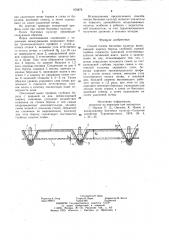 Способ посева бахчевых культур (патент 976878)