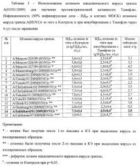 Штамм а/salekhard/01/2009(h1n1)v вируса гриппа а субтипа h1n1 для исследования лечебной и профилактической эффективности препаратов против вируса гриппа (патент 2457242)