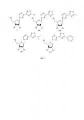 Новые 1-β-d-рибофуранозил-3-(5-замещенные-1,2,4-оксадиазол-3-ил)-1,2,4-триазолы, обладающие противовирусными свойствами, и способ их получения (патент 2629360)
