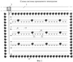 Способ орошаемого земледелия в аридной зоне и система для его реализации (патент 2451445)