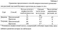 Способ микроклонального размножения листовой бегонии (патент 2290786)