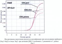 Олигонуклеотиды и способ определения днк бактерий, относящихся к семейству chlamydiaceae (патент 2486255)