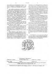 Способ формирования клапана тонкой кишки (патент 1701294)
