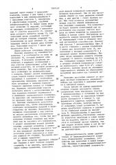 Линия нанесения защитных покрытий (патент 1597127)