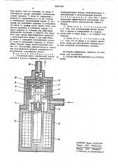 Топливный насос (патент 569738)
