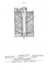 Устройство для скважинной гидродобычи россыпных полезных ископаемых (патент 1067215)