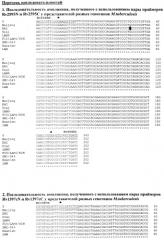 Способ генотипирования штаммов mycobacterium tuberculosis (патент 2547598)