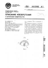 Сушилка для суспензий и паст (патент 1615503)