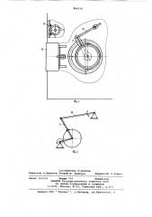 Устройство для укладки рыбы вбанки (патент 806536)
