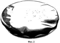 Биодеградируемое раневое покрытие и способ получения биодеградируемого раневого покрытия (патент 2519158)