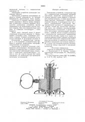 Электродное устройство (патент 992021)