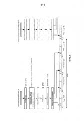 Поддержка гибкого спектра в сотовой беспроводной связи (патент 2623498)