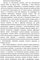 Биспецифические антитела к erb-b и их применение для лечения опухолей (патент 2349340)
