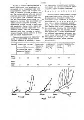Способ ведения виноградного куста (патент 1404025)