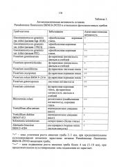 Штамм бактерий pseudomonas fluorescens для защиты растений от фитопатогенных грибов и бактерий и стимуляции роста растений (патент 2646160)